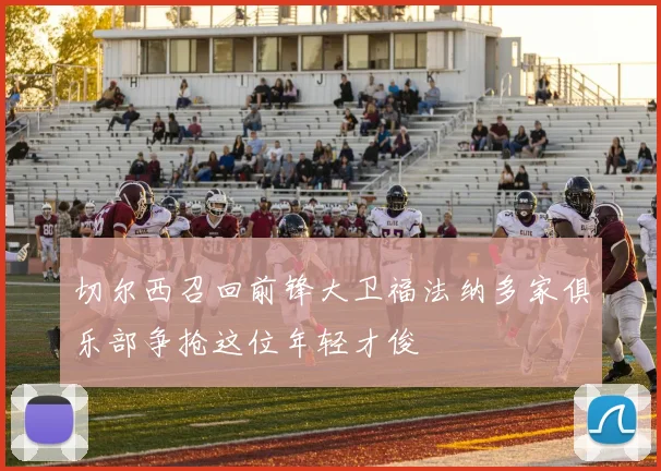 切尔西召回前锋大卫福法纳多家俱乐部争抢这位年轻才俊