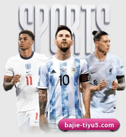 五大服务分区,信息按项目分类 - BAJIESPORTS